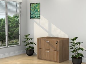 2 Drawer Lateral File - Various Colors