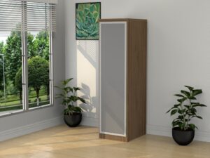 Single Door Personal Organizer with Glass Door - Various Colors