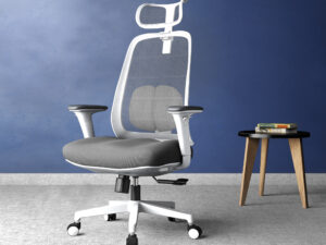 PosturePro WHITE Frame