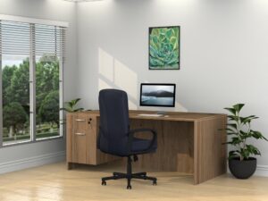 24" x 48" Standard Desk with Box/File Pedestal - Various Colors