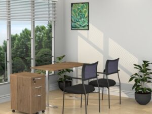 Height Adjustable 30″ X 60″ Desk with Universal Pedestal - Various Colors